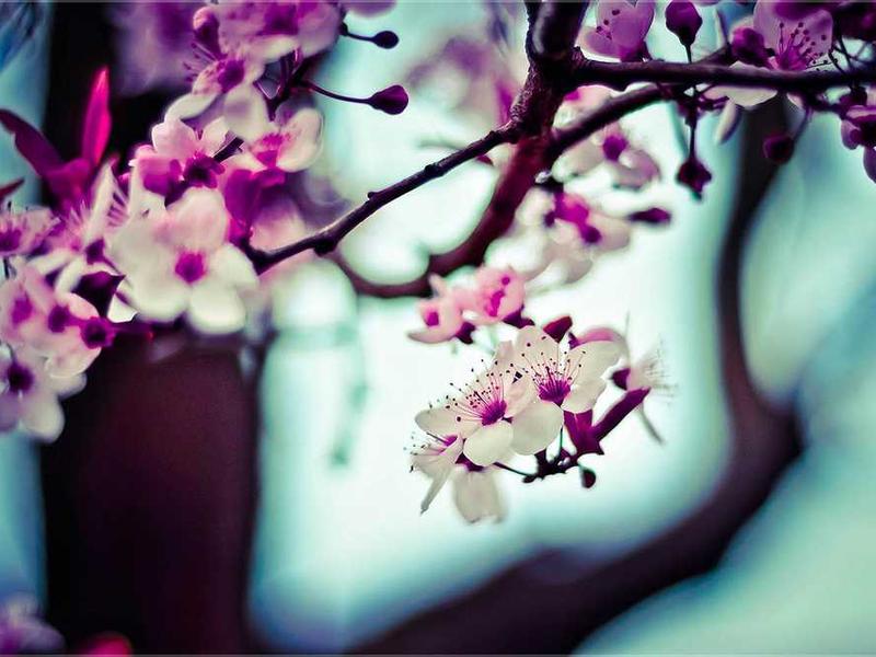 欧冠：迪亚斯双响染红，内维斯破门，拜仁2-1巴黎是否值得期待？关键数据告诉你